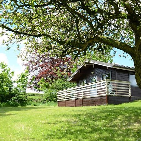 Avallon Lodges Launceston Dış mekan fotoğraf