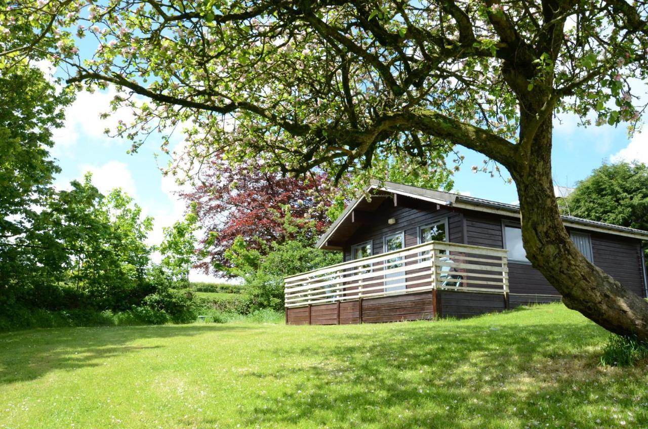 Avallon Lodges Launceston Dış mekan fotoğraf