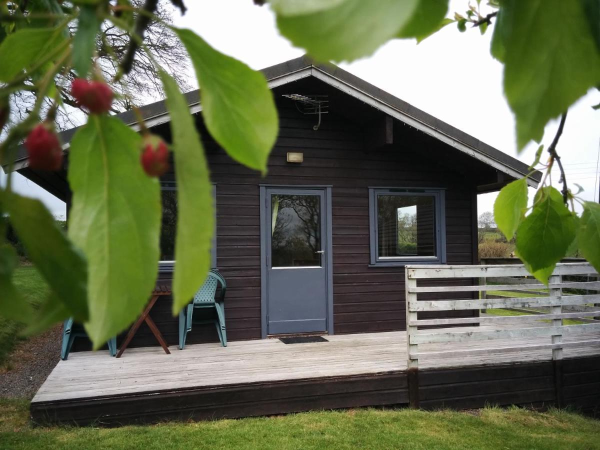 Avallon Lodges Launceston Dış mekan fotoğraf