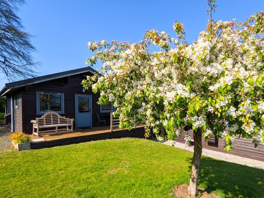 Avallon Lodges Launceston Dış mekan fotoğraf